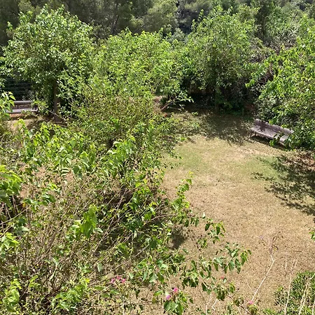 T2 Traversant Avec Grande Terrasse Et Piscine Apartment Cagnes-sur-Mer